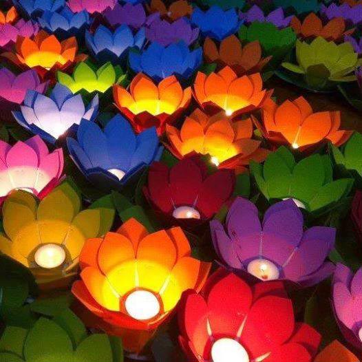 Hoa đ&egrave;n trang tr&iacute;