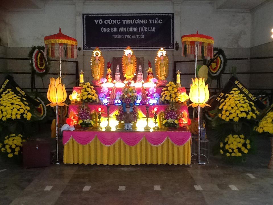 Hoa đ&egrave;n trang tr&iacute;